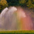 Christopher Street Day auf dem Lande