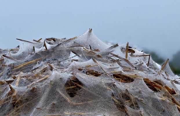 "Christos" Misthaufen