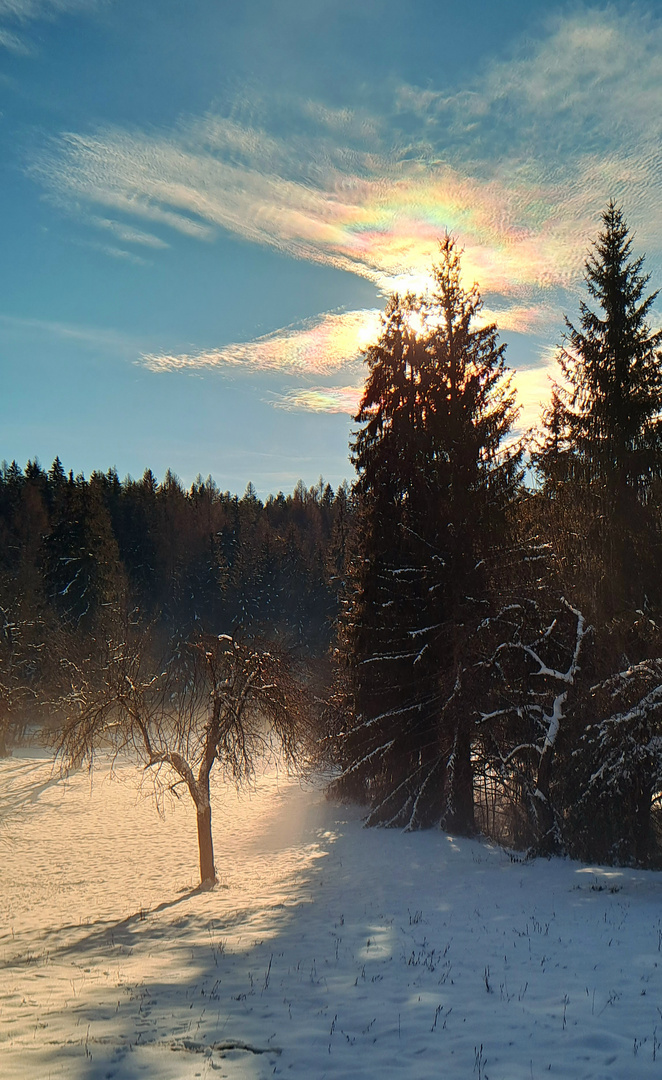 Christtags-Erscheinung