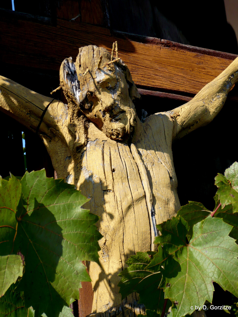 Christus im Weinberg