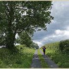 Christy Gate Road in Westerdale 5