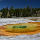 Chromatic Pool - Upper Geyser Basin