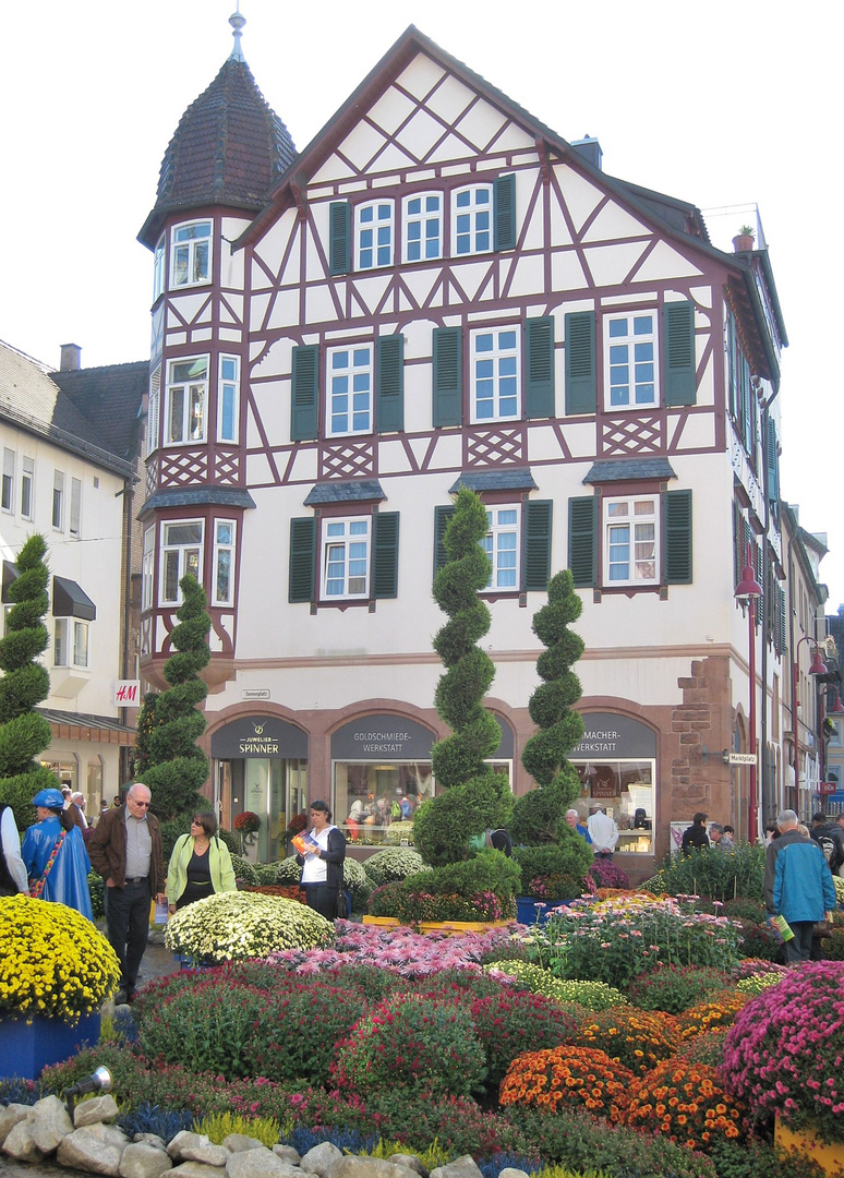 Chrysanthema Lahr 2013