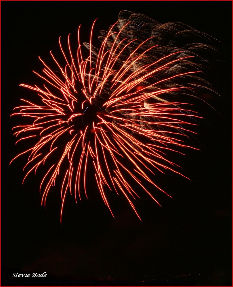 **** Chrysantheme in Red ****