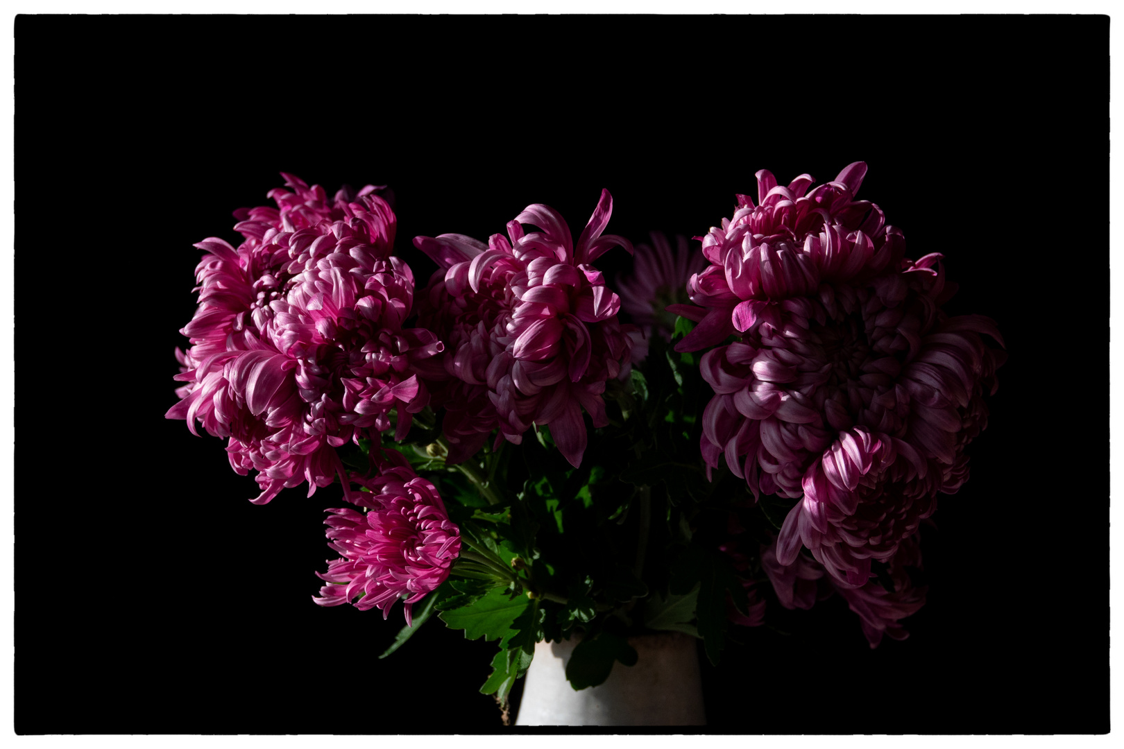 Chrysanthemen in der Vase