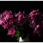 Chrysanthemen in der Vase