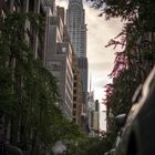 Chrysler Building