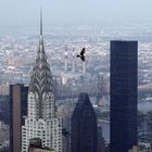 Chrysler Building with Birds