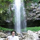 Chrystal Shower Falls im Dorrigo NP