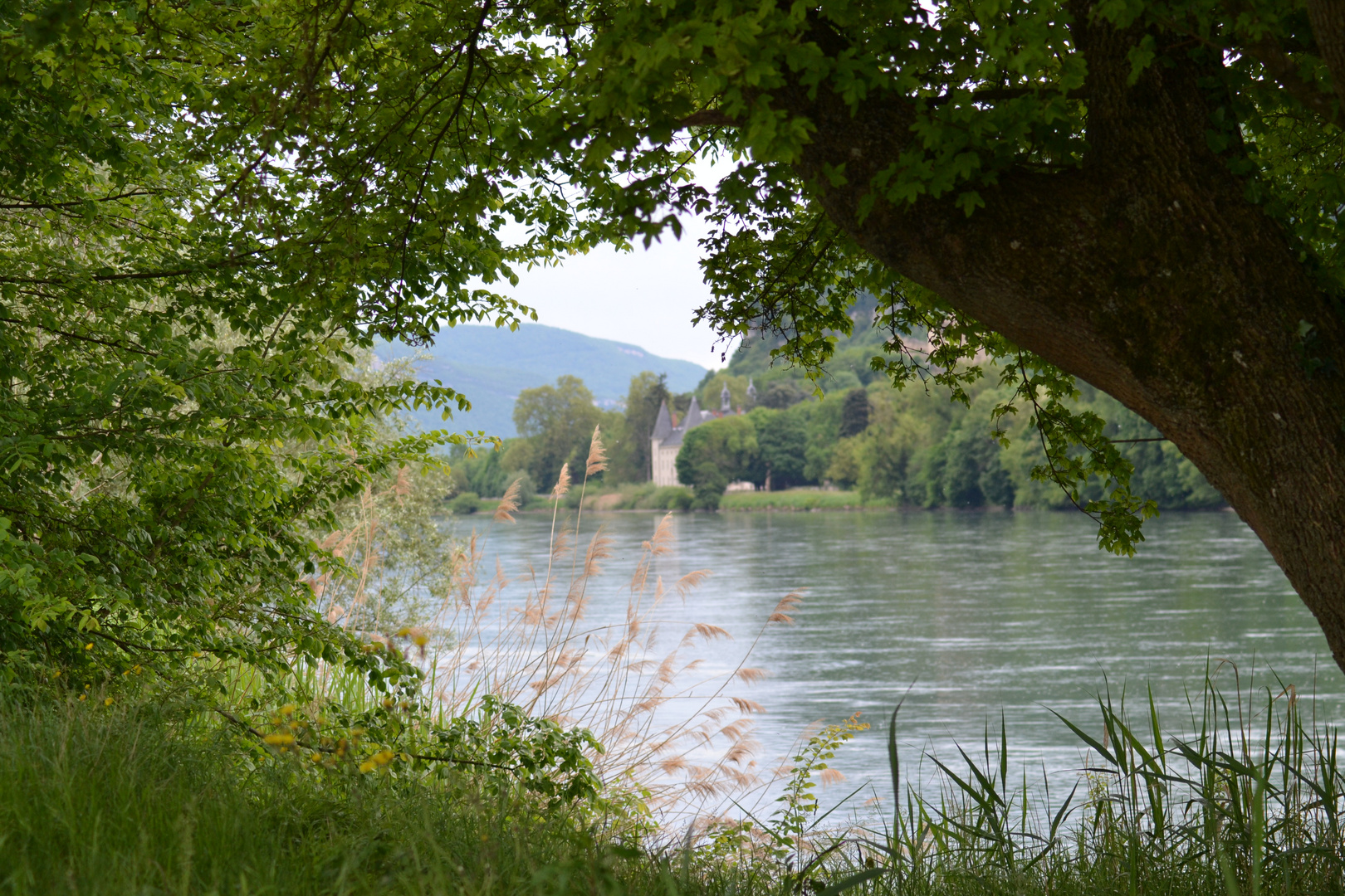 château au bord de l'eau