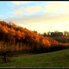 Château au milieu des bois