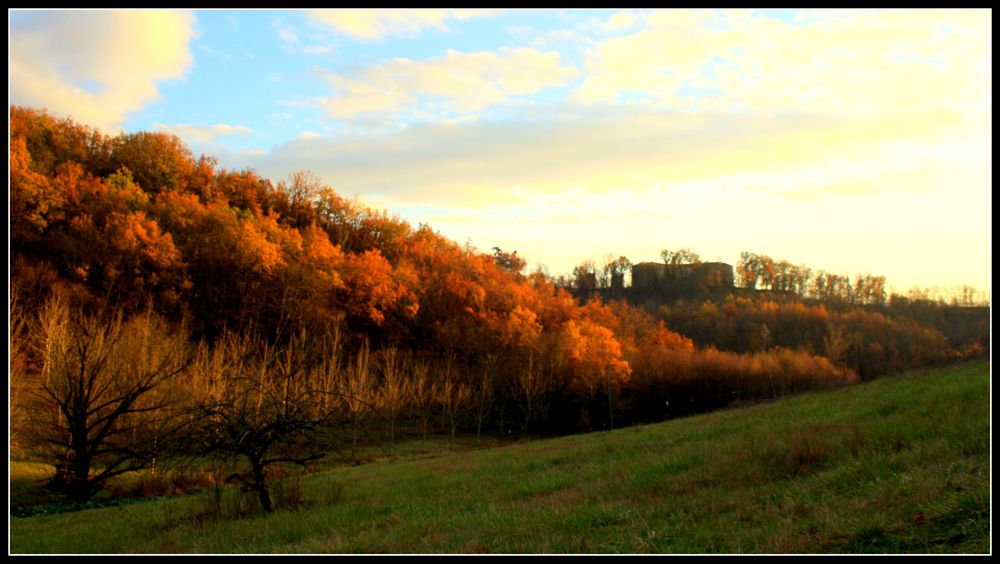 Château au milieu des bois