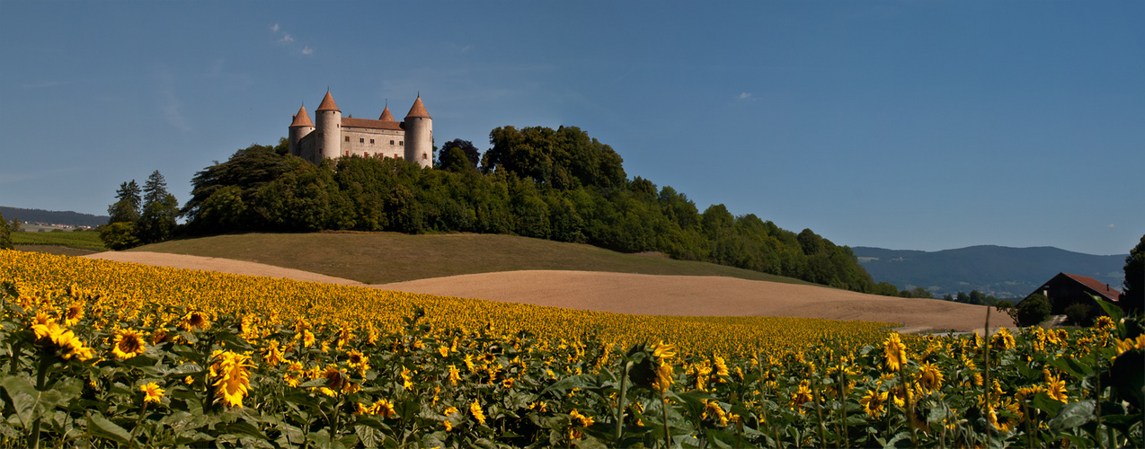 Château Champvent