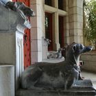 Château d'Abbadia, Hendaye - Détails