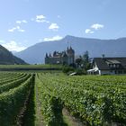 Château d'Aigle VS