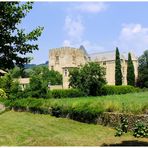 Château d'Allemagne en Provence