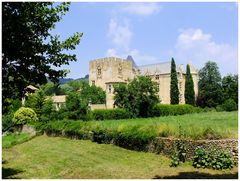 Château d'Allemagne en Provence