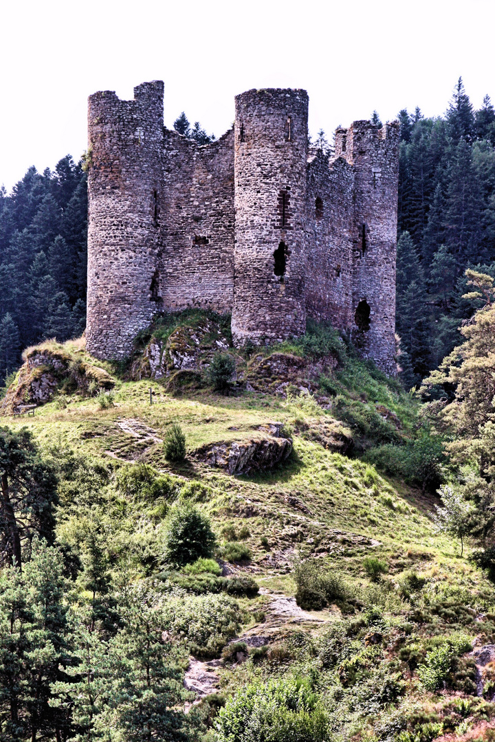 Château d'Alleuze