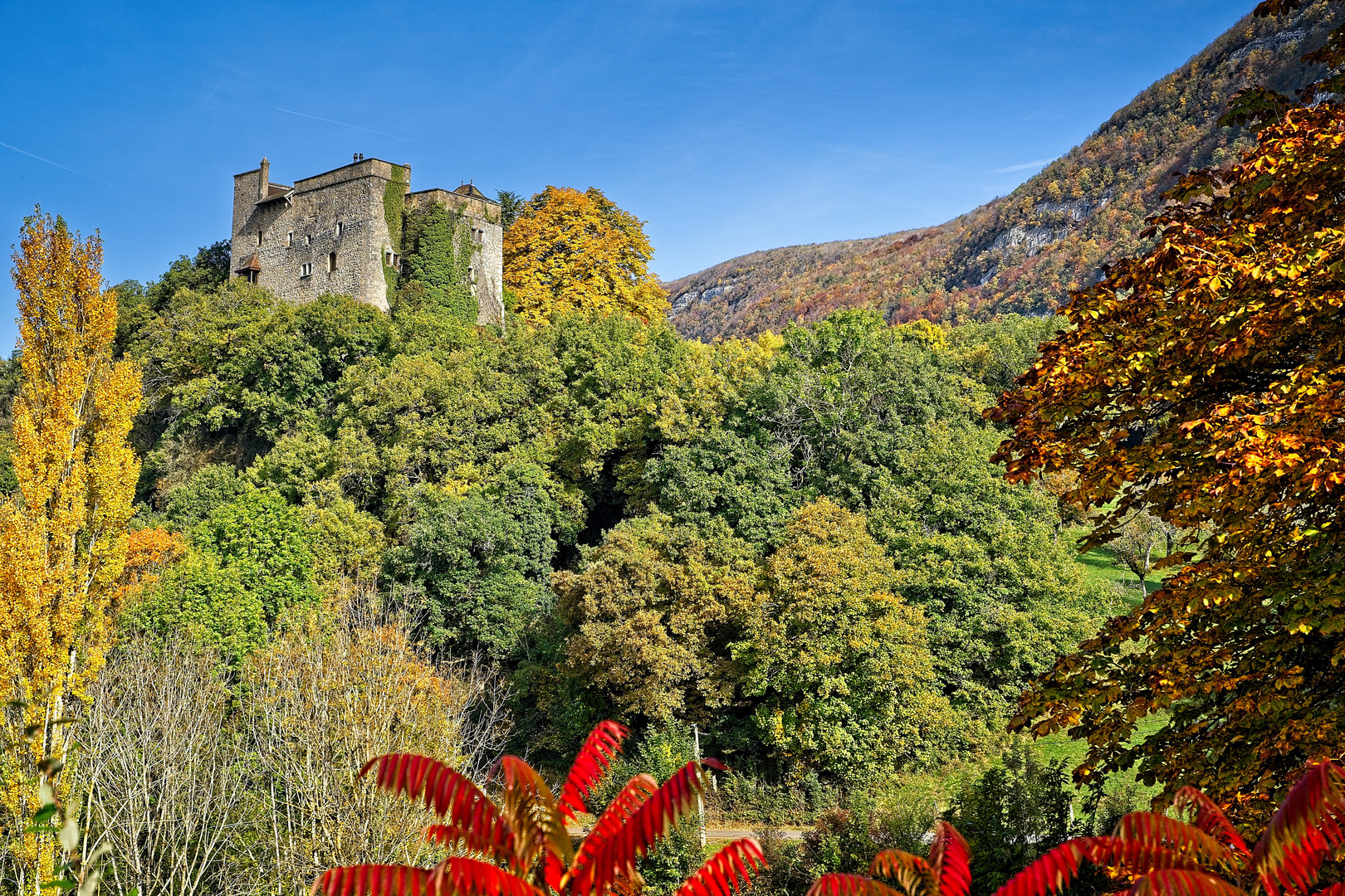 Château d'Arcine, Rhonetal