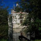 Château d'Azay le Rideau