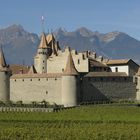 Château de Aigle