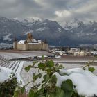 Château de Aigle