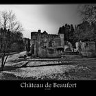 Château de Beaufort II