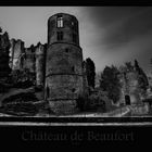 Château de Beaufort - S/W