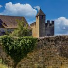 Château de Beynac 01