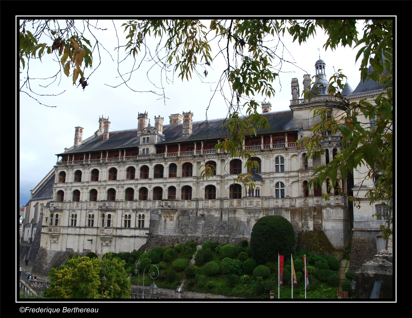 Château de Blois