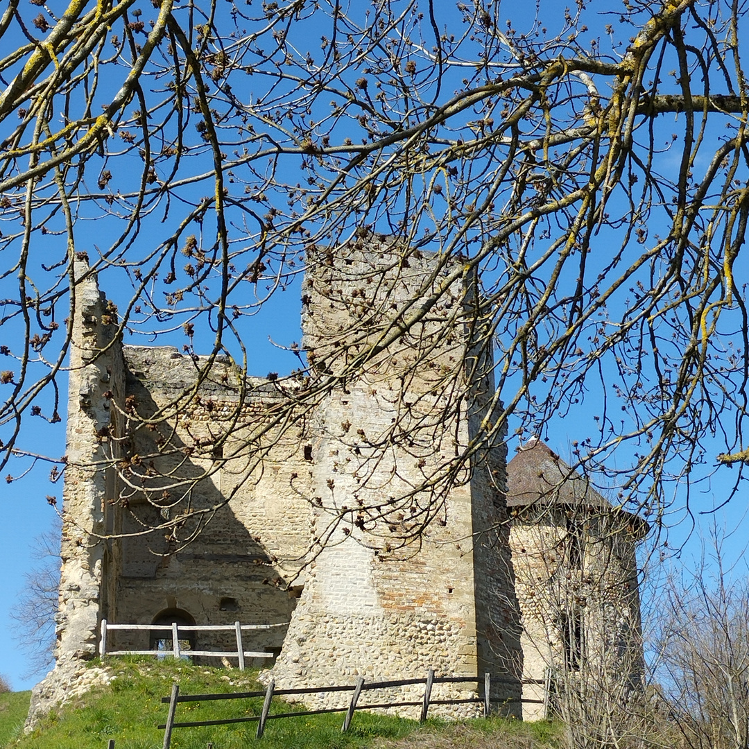 Château de Bocsozel, Isère
