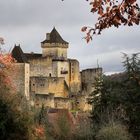 Château de Castelnau-La-Chapelle