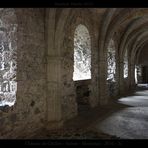 Château de Chillon - Suisse - Montreux - 2010 - 21