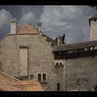 Château de Chillon - Suisse - Montreux - 2010 - 28