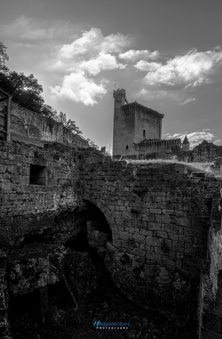 Château de Commarque