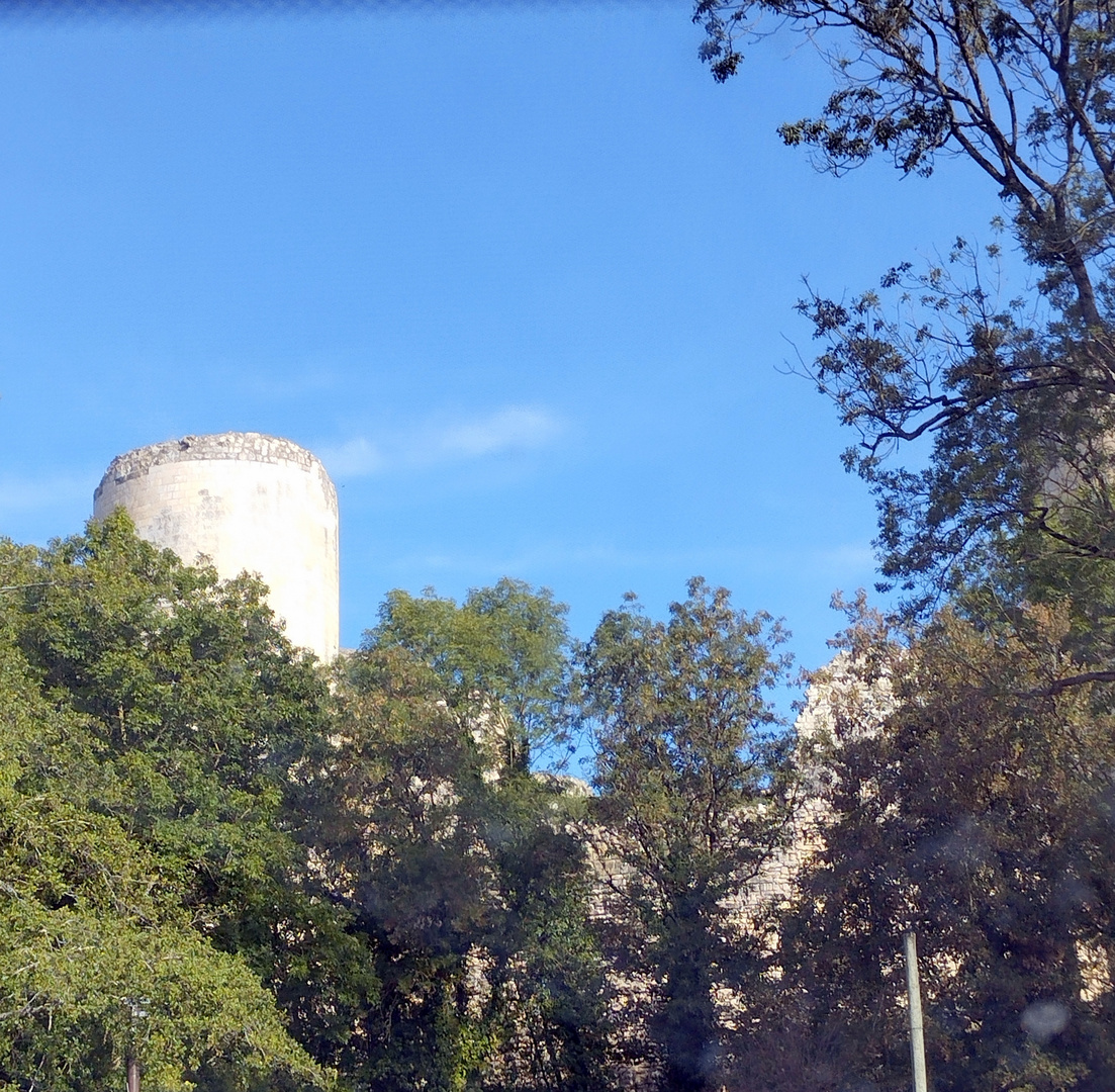 Château de Coudray-Salbart