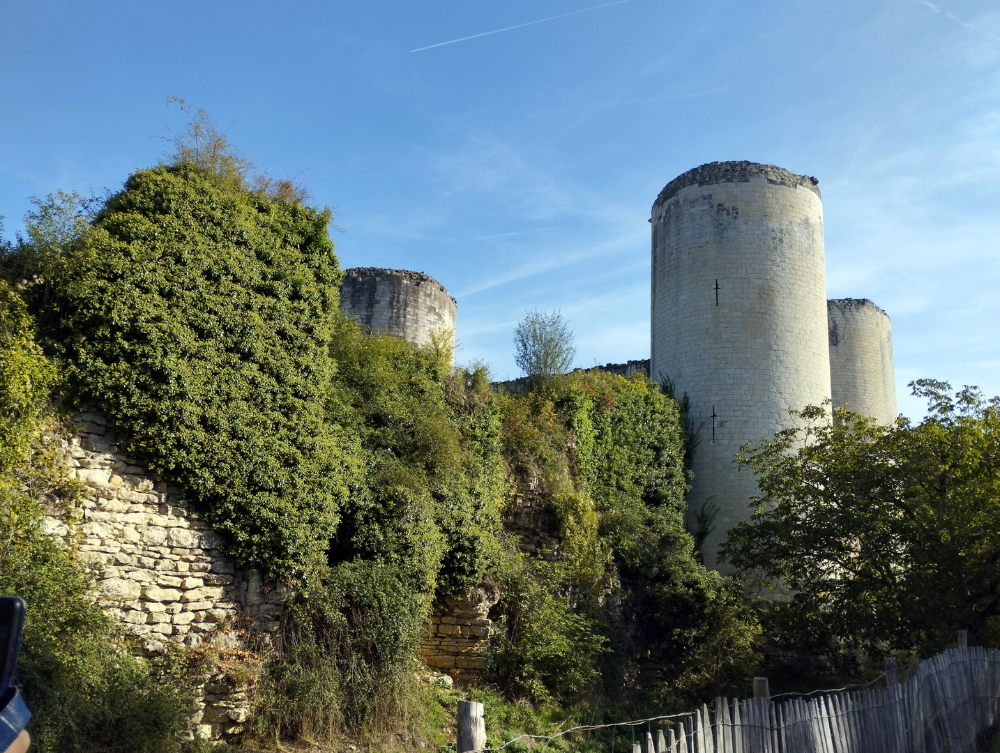 Château de Coudray-Salbart