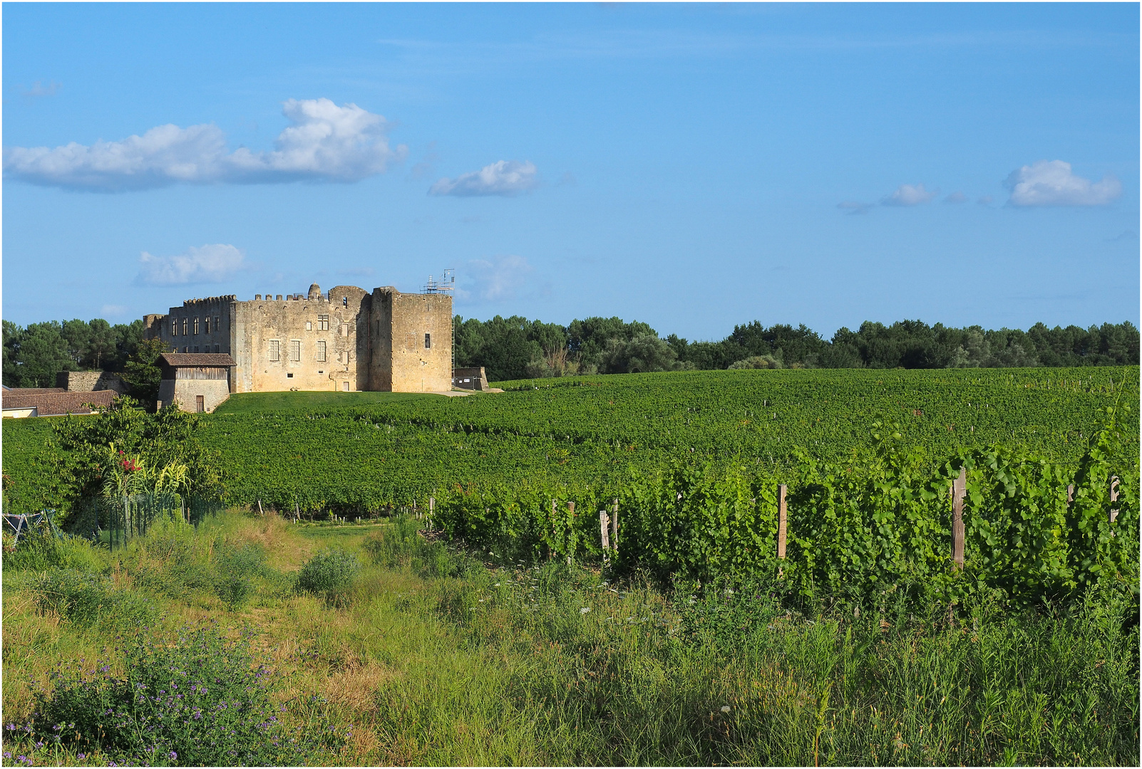 Château de Fargues