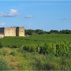 Château de Fargues