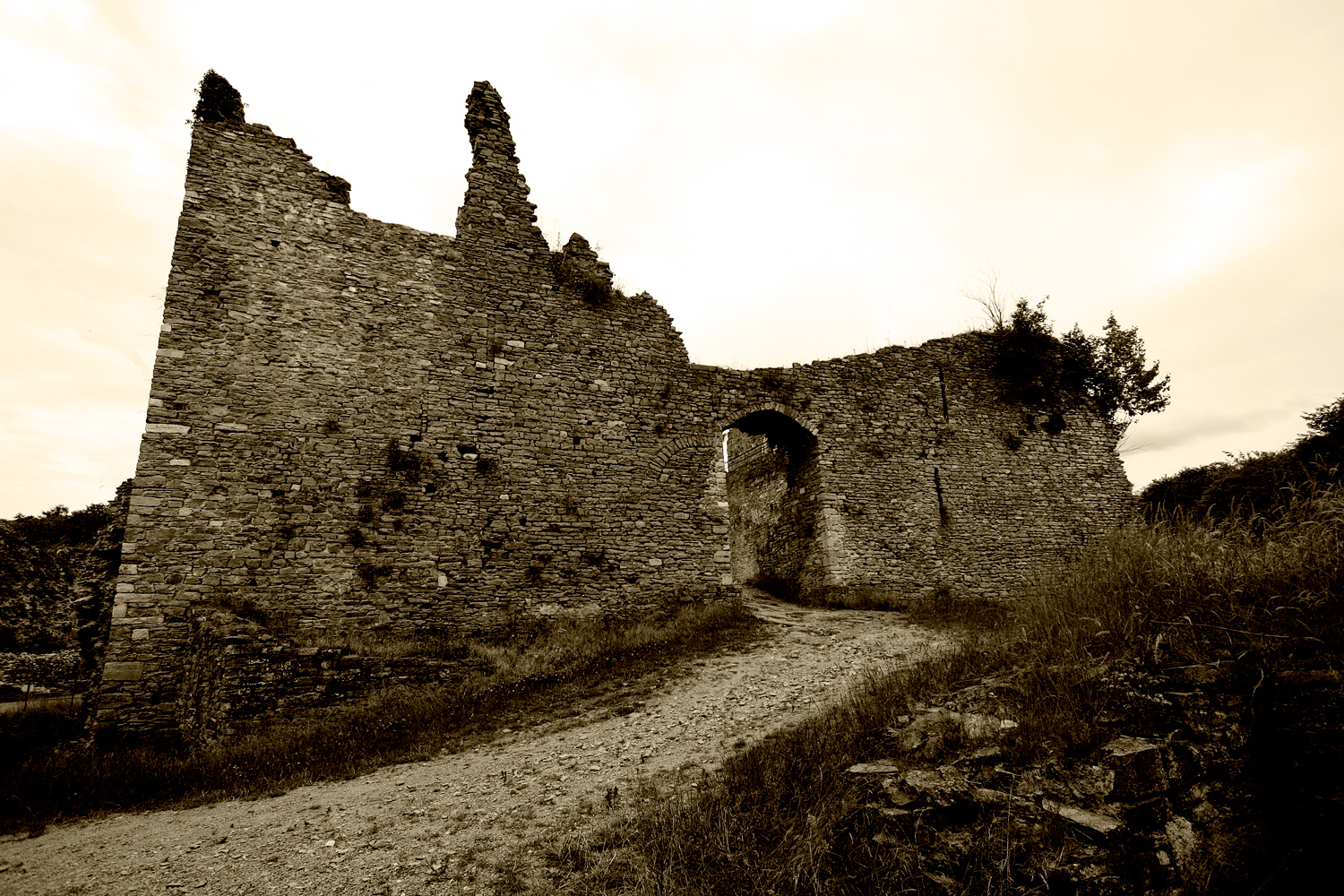 Château de Franchimont IV