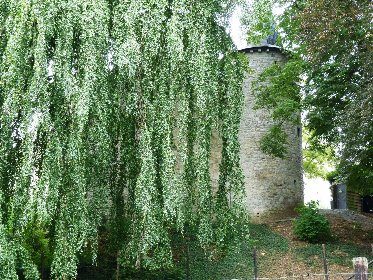 Château de Harzé(17èm)