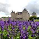 Château de La Roche Courbon