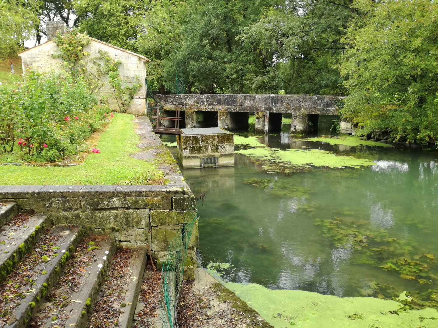 Château de Lussac ....la pêcherie !