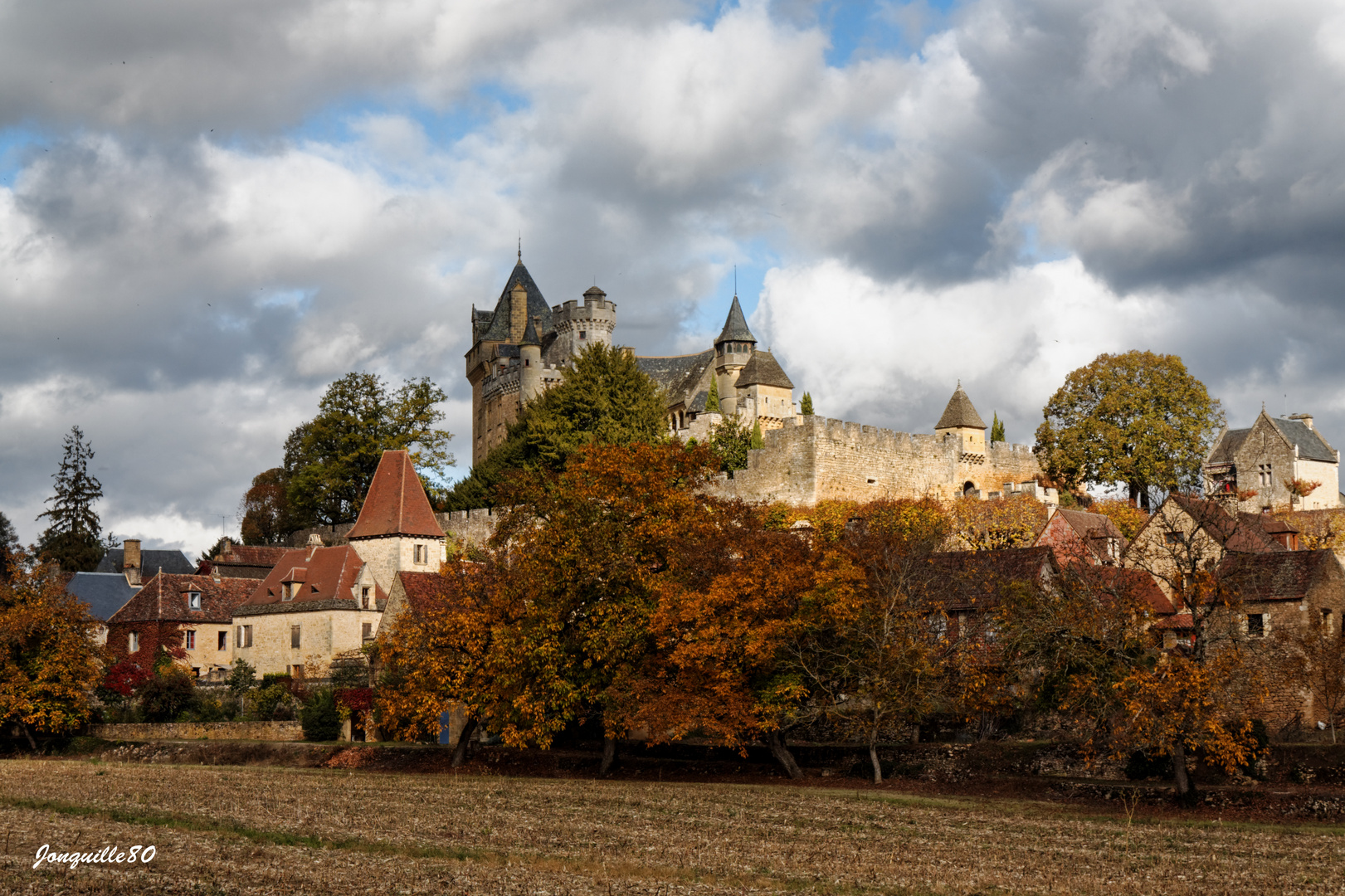 Château de Montfort (24)