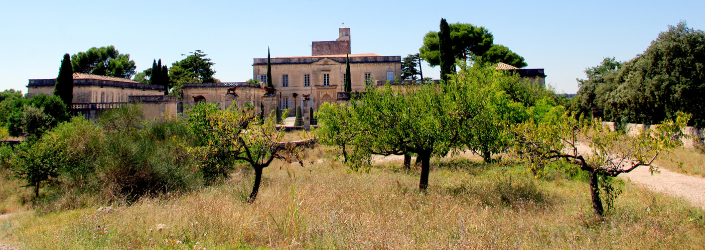 Château de Montfrin, Gard ....2