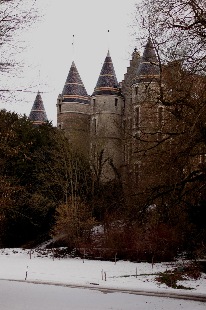 Château de Pupetières (38)