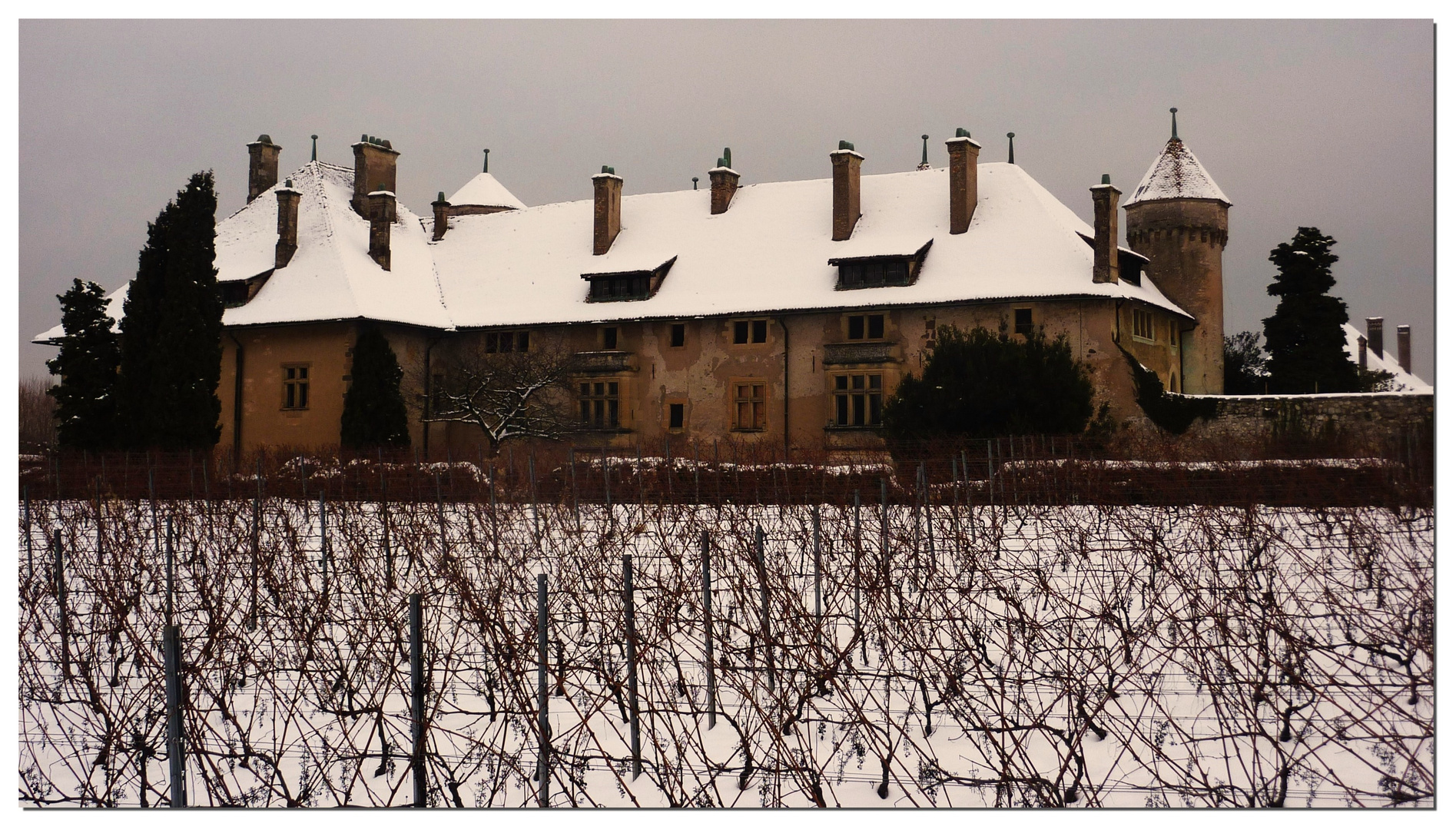 Château de Ripaille sous la neige (THONON les bains)