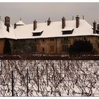 Château de Ripaille sous la neige (THONON les bains)