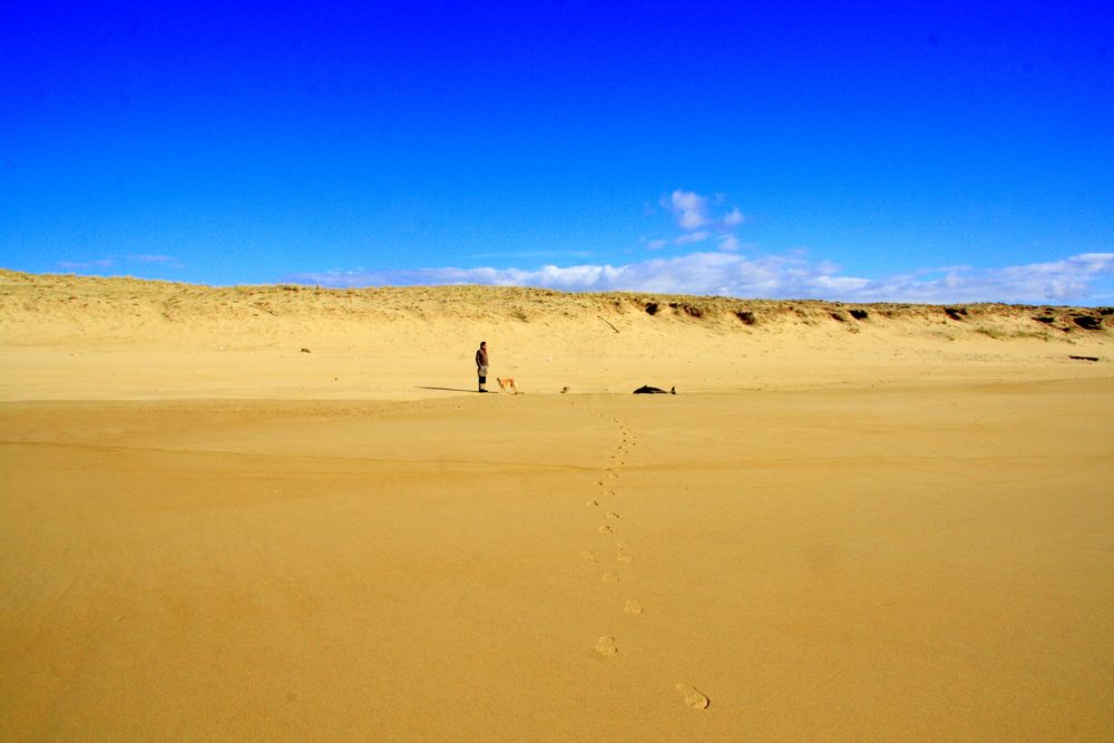 Château de sable