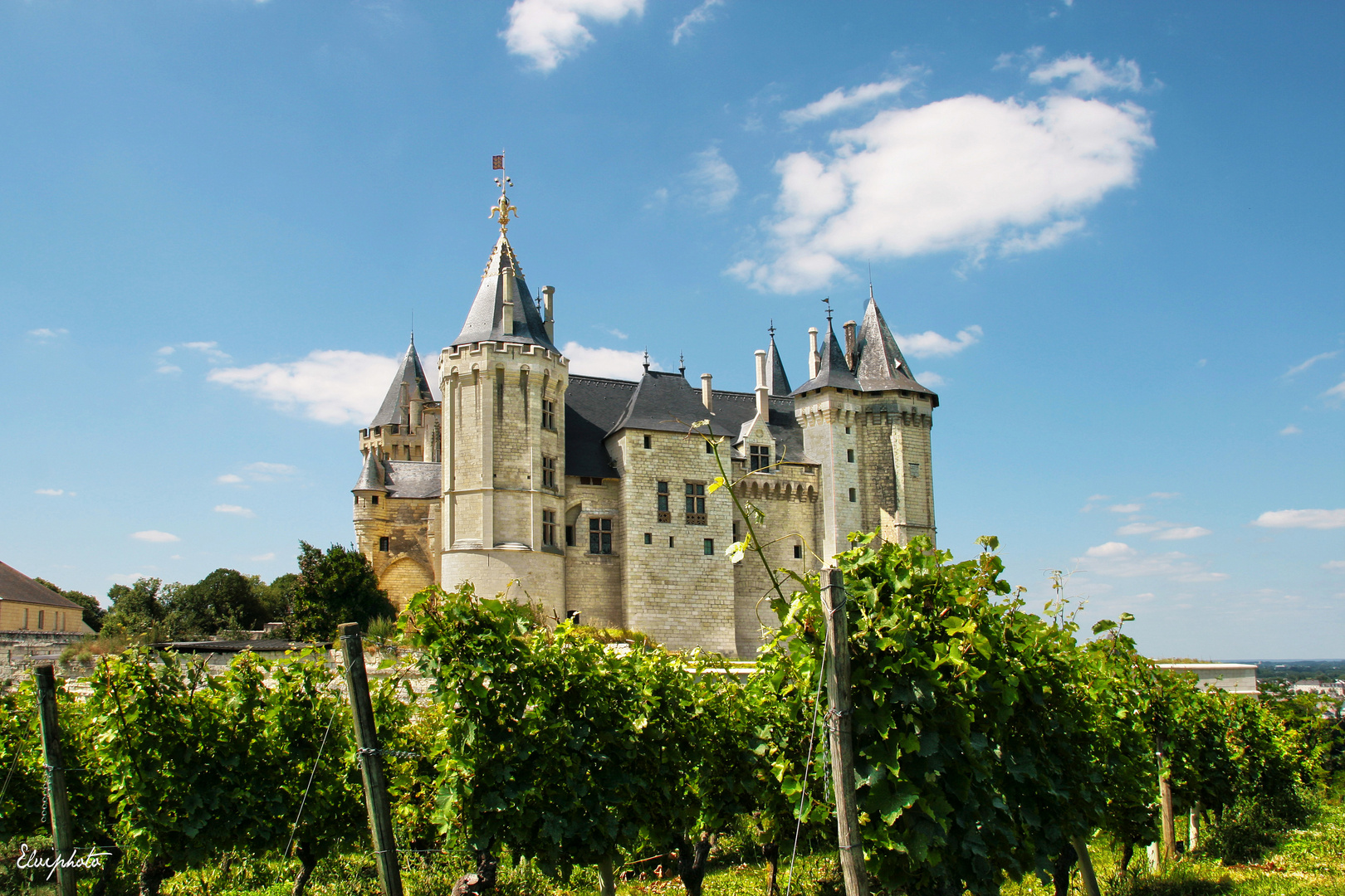 Château de Saumur et vignobles 